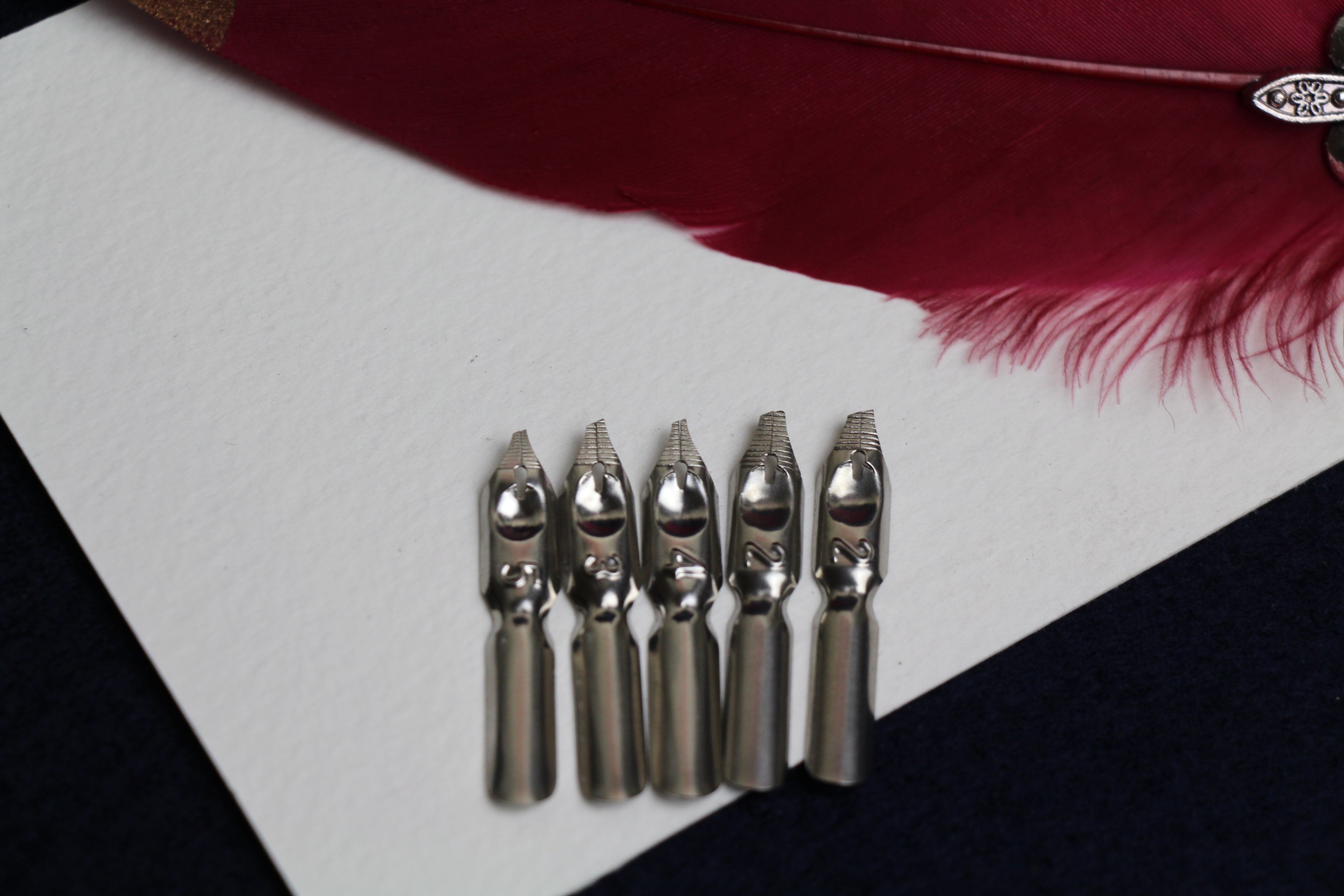 Medium feather quill set for Arabic calligraphy, dip pen with left oblique nib, pen stand, ink