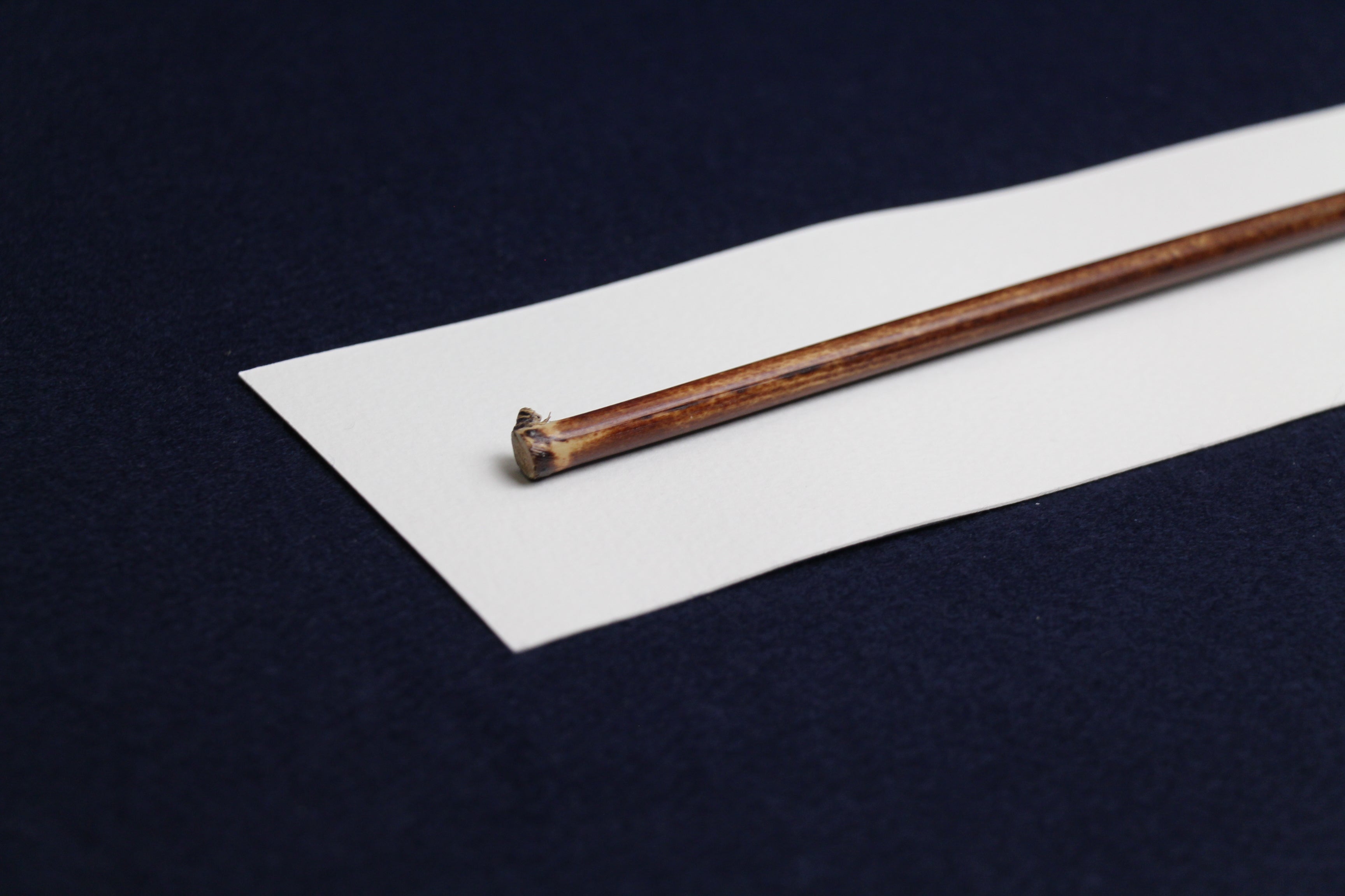 Dezfouli reed for Arabic calligraphy dip qalam pen - unopened