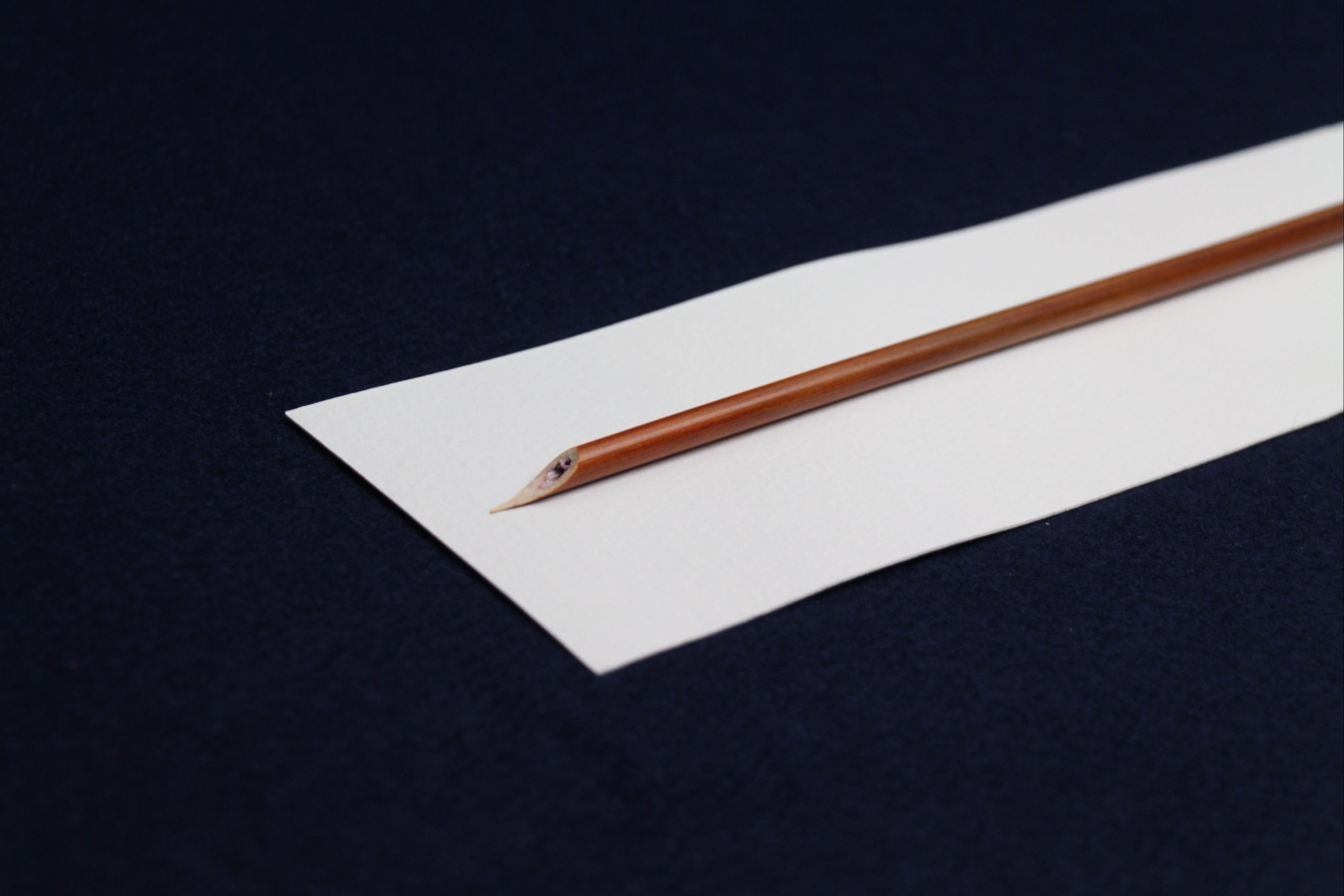 Traditional reed dip qalam pen for Arabic calligraphy - cut for Naskh script, left oblique nib
