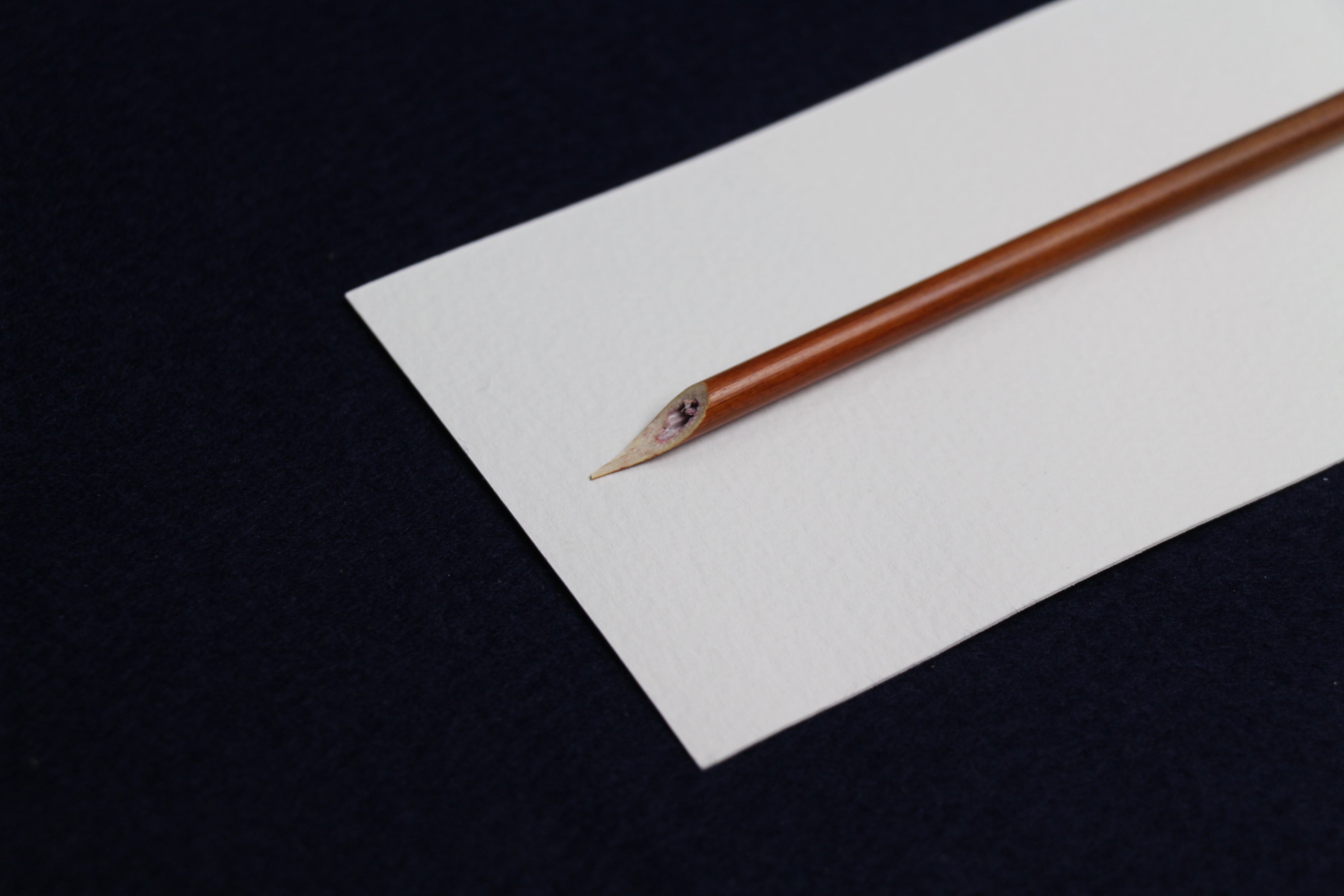 Traditional reed dip qalam pen for Arabic calligraphy - cut for Naskh script, left oblique nib