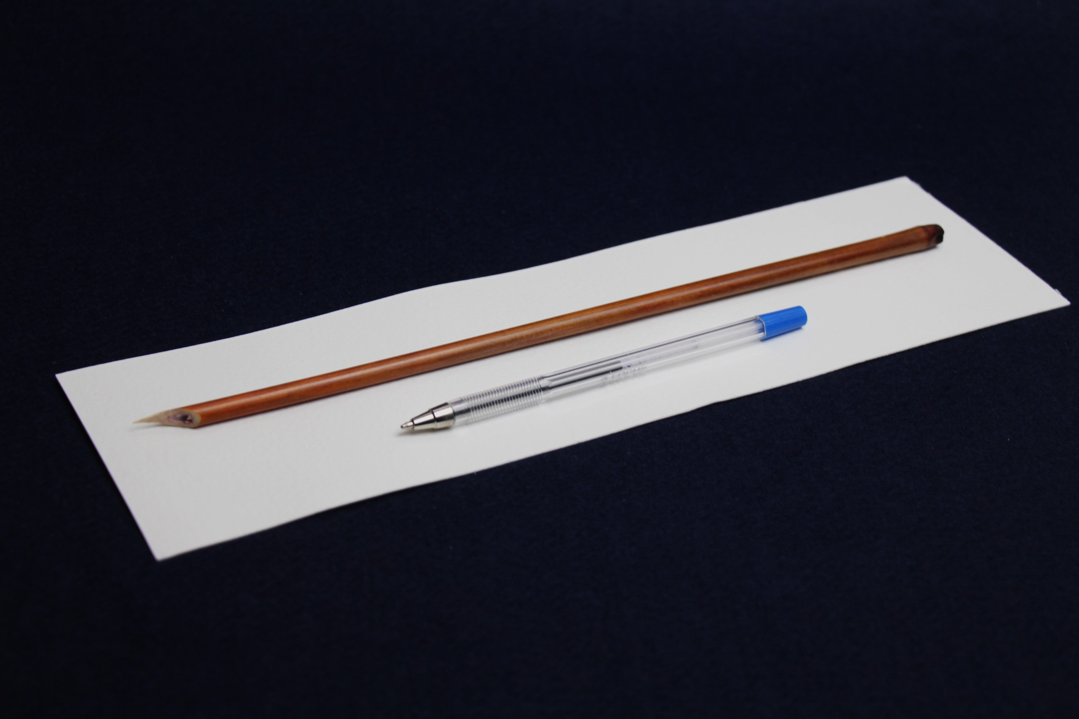 Traditional reed dip qalam pen for Arabic calligraphy - cut for Naskh script, left oblique nib