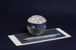 Load image into Gallery viewer, 50 ml  glass ink pot with plastic, crystal like lid
