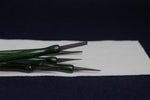 Load image into Gallery viewer, Set of 5 qalams for Arabic calligraphy with ebony nibs: 1 to 5 mm - olive green handle
