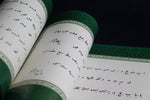 Load image into Gallery viewer, Halim Efendi - copy book (mashq) for Ruq&#39;a, Diwani and Diwani Jali scripts
