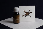 Load image into Gallery viewer, Amiran ink for Arabic calligraphy - brown

