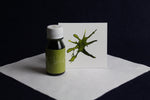 Load image into Gallery viewer, Amiran ink for Arabic calligraphy - olive green

